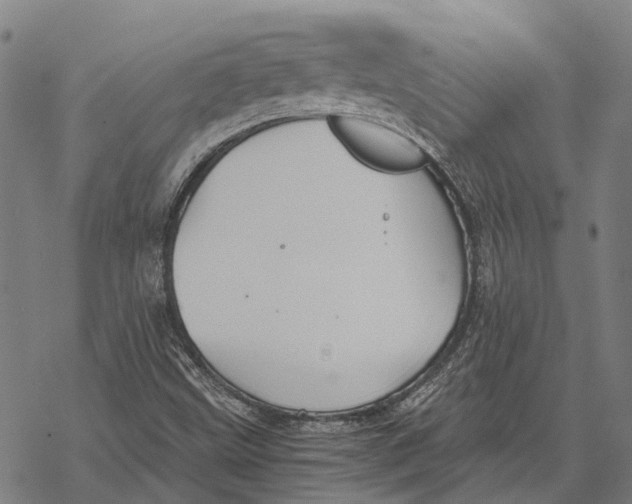 X0000068851499200605261652