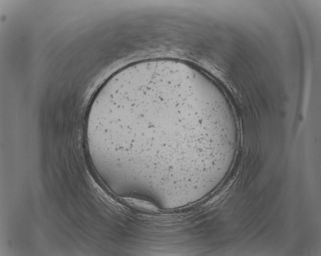 X0000068851500200605261652