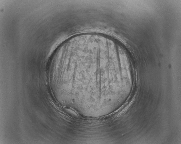 X0000068851501200605261652