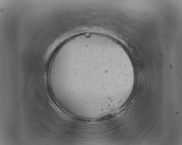 X0000068851503200605261652