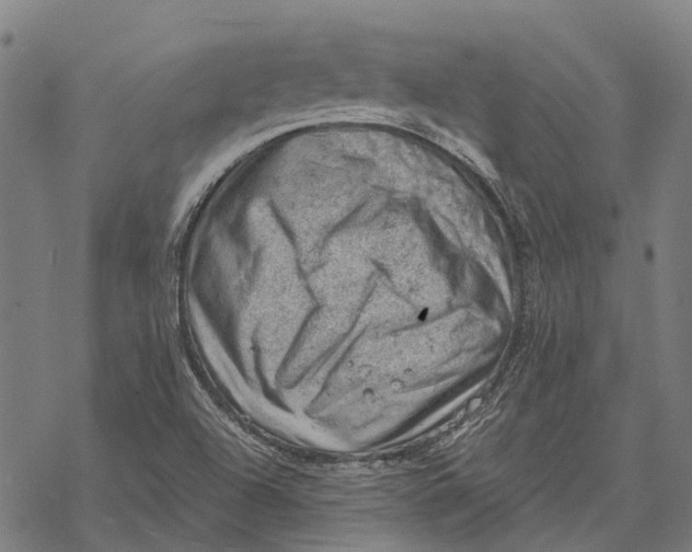 X0000068851504200605261652