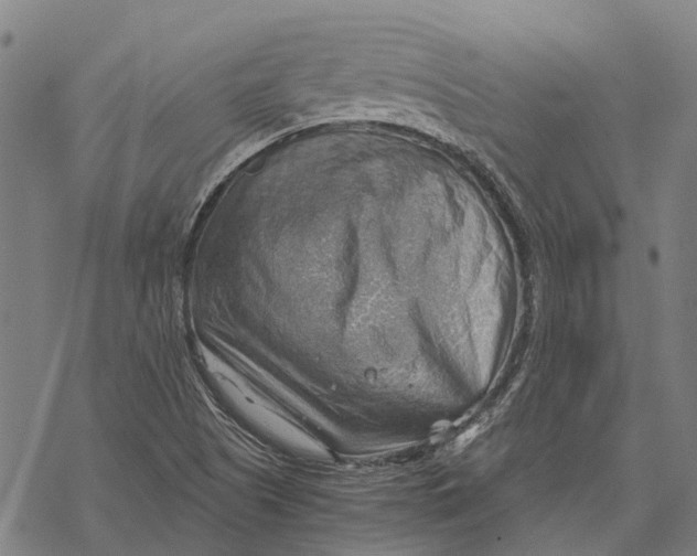 X0000068851505200605261652