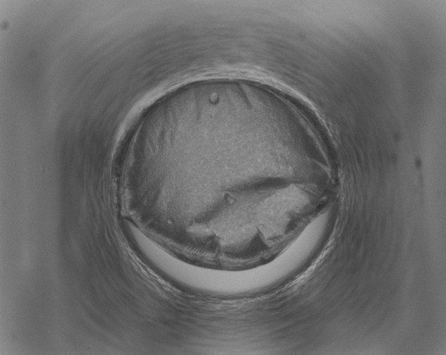 X0000068851506200605261652