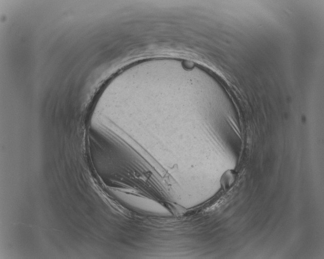 X0000068851507200605261652