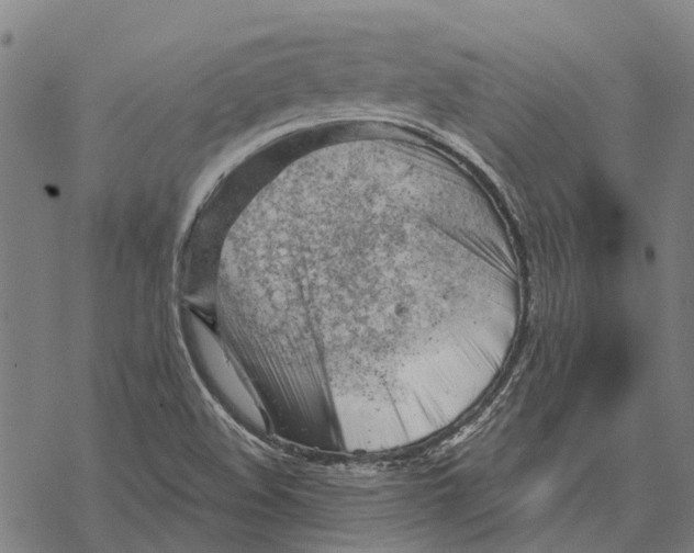 X0000068851508200605261652