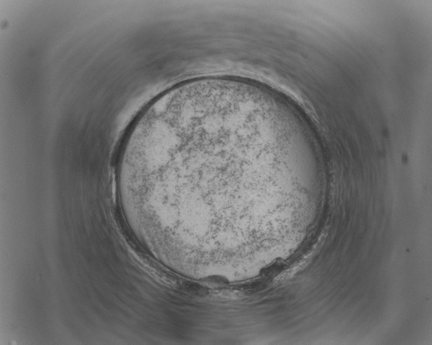 X0000068851509200605261652