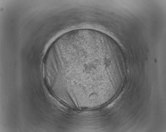 X0000068851510200605261652