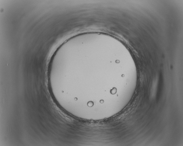 X0000068851512200605261652