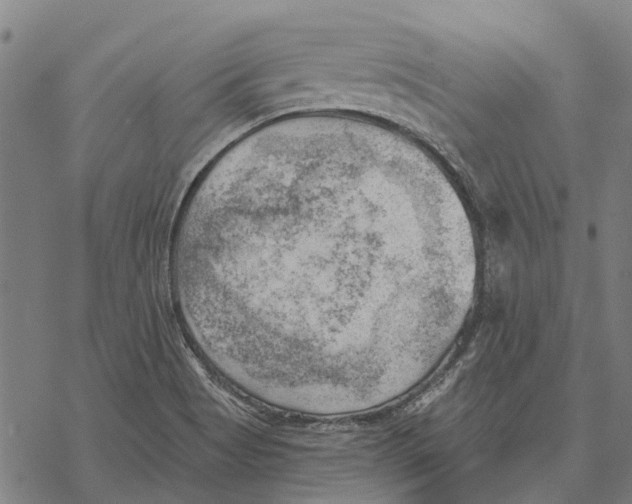 X0000068851513200605261652