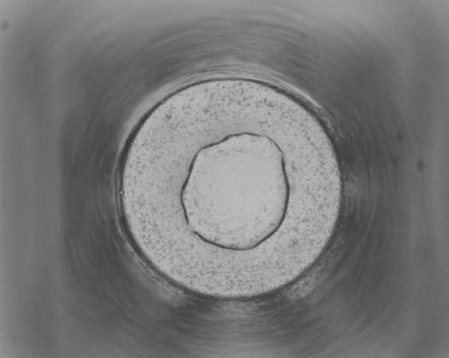 X0000068851514200605261652