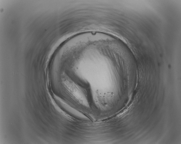 X0000068851515200605261652