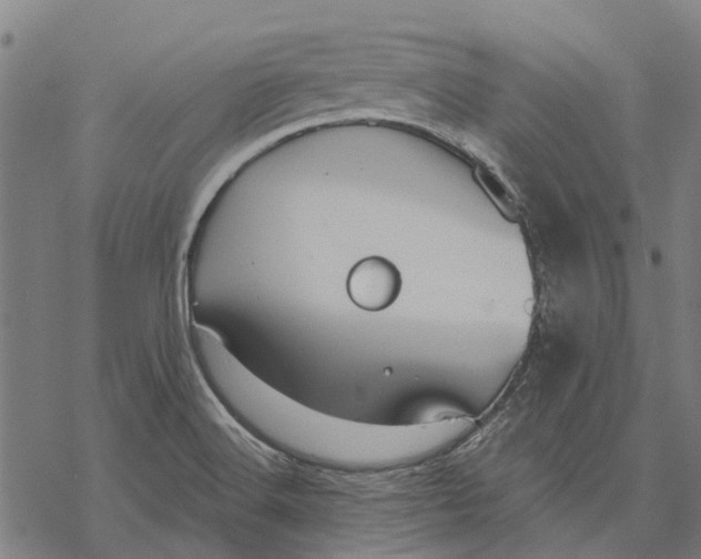 X0000068851516200605261652