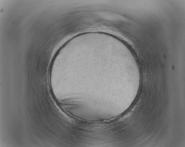 X0000068851517200605261652