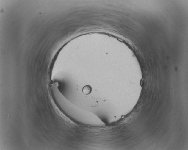 X0000068851518200605261652