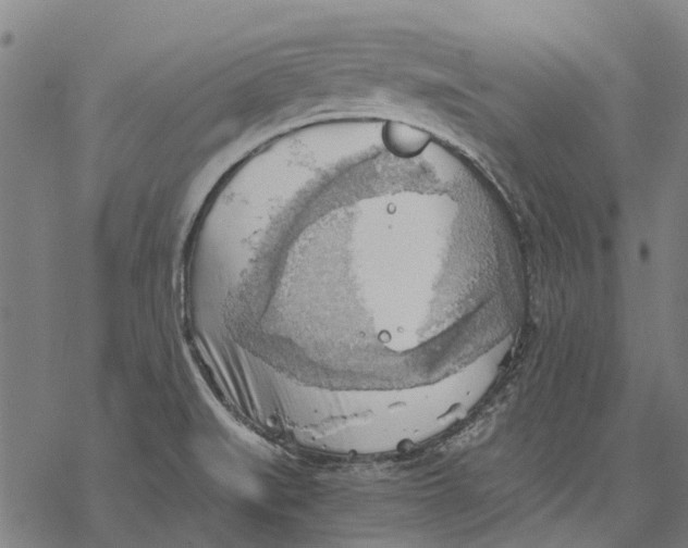 X0000068851519200605261653