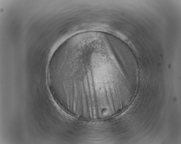 X0000068851520200605261653