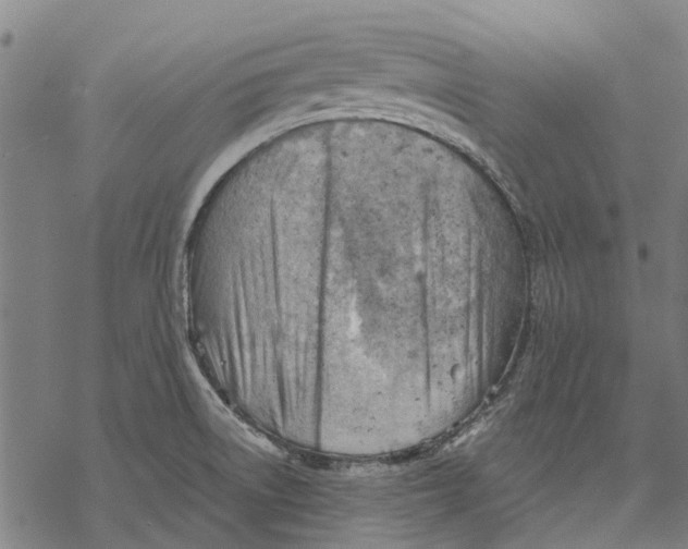 X0000068851522200605261653