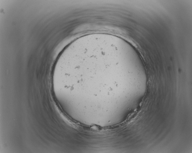 X0000068851523200605261653