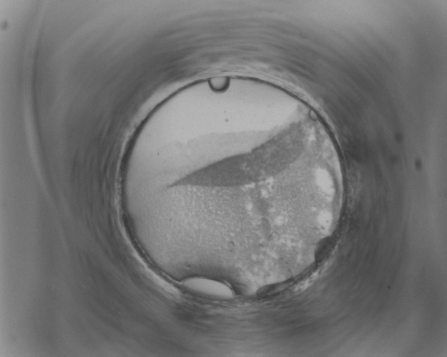 X0000068851525200605261653