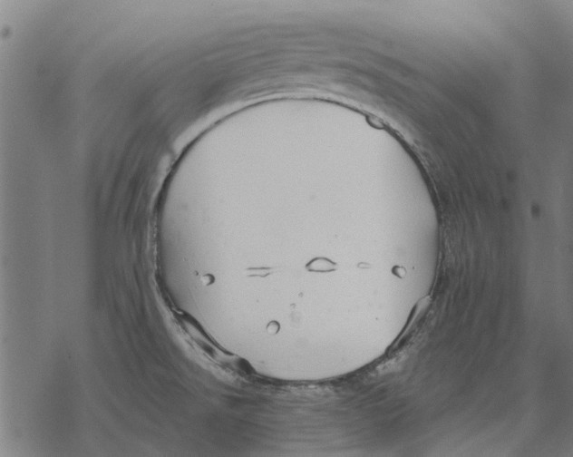 X0000068851526200605261653