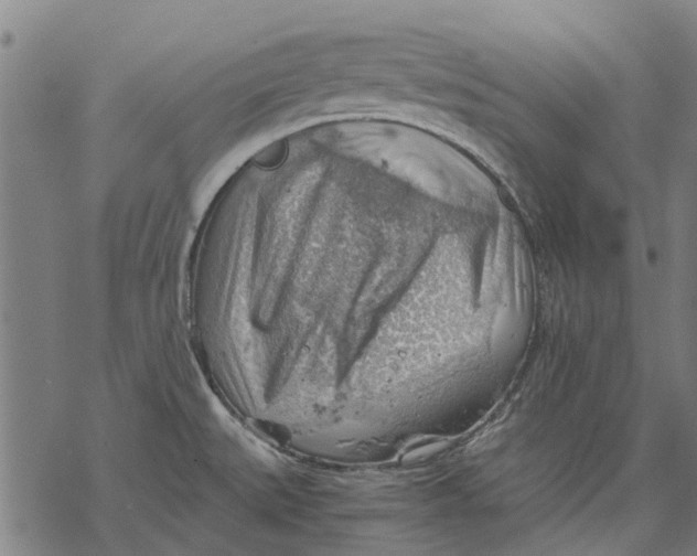 X0000068851527200605261653