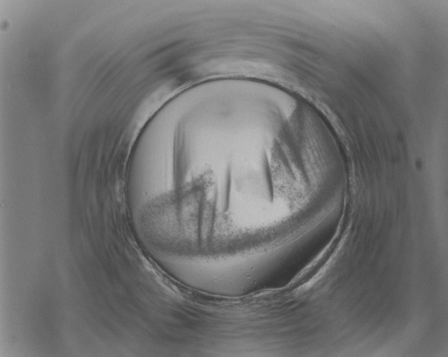 X0000068851529200605261653