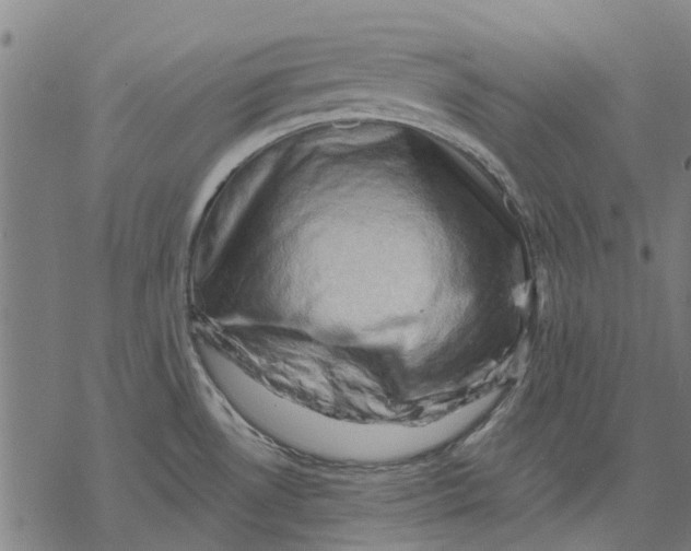 X0000068851530200605261653