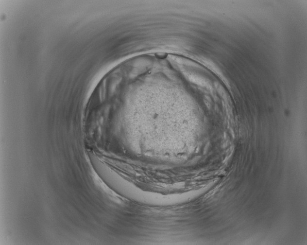 X0000068851532200605261653