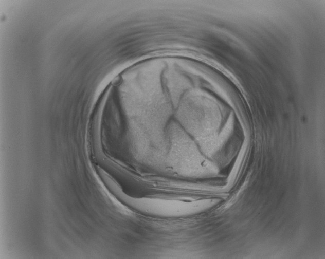 X0000068851533200605261653