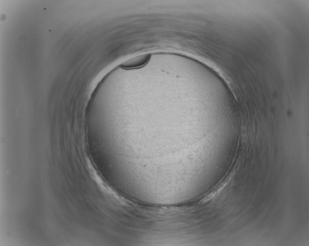 X0000068851534200605261653