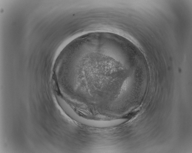 X0000068851536200605261653