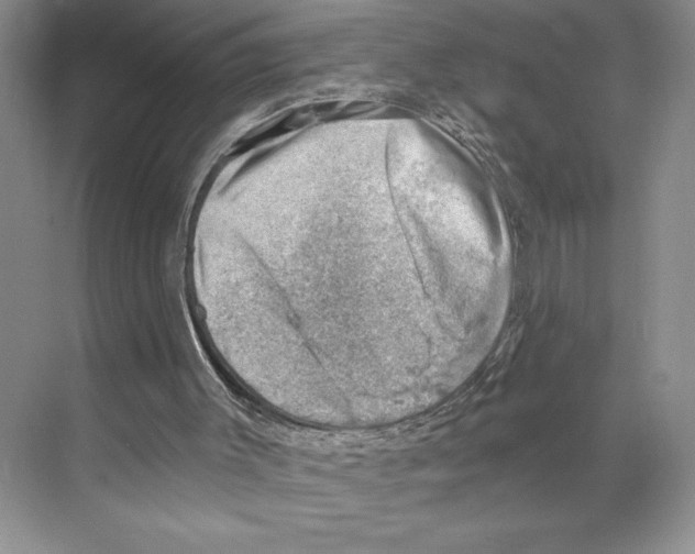 X0000068850003200606021747