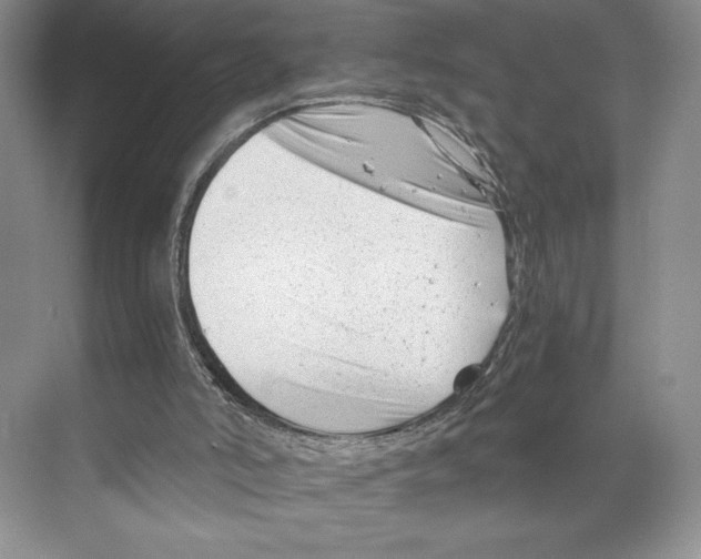 X0000068850006200606021747