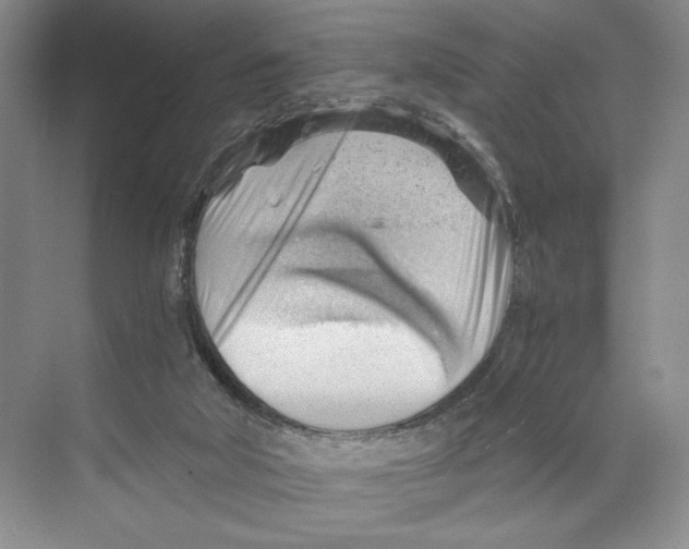 X0000068850018200606021746