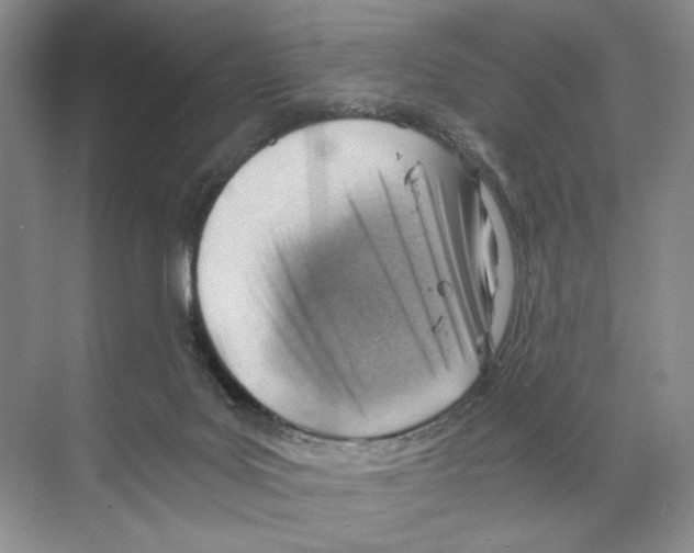 X0000068850027200606021746