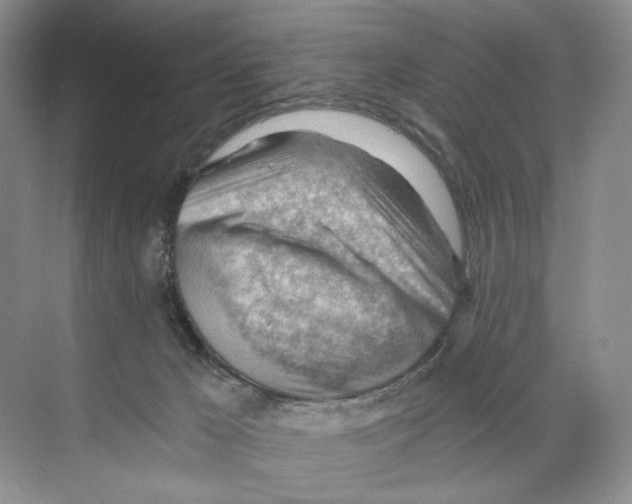 X0000068850029200606021746