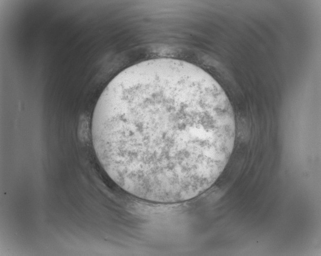 X0000068850036200606021746