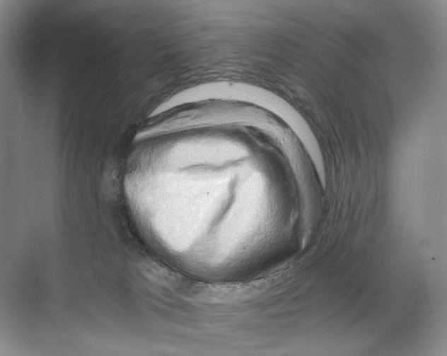 X0000068850037200606021746