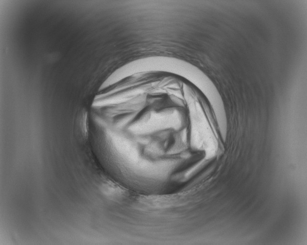 X0000068850041200606021746