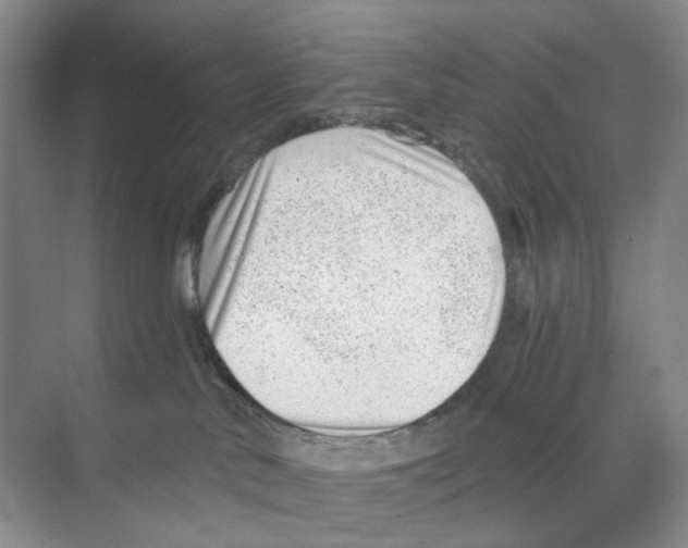 X0000068850042200606021746