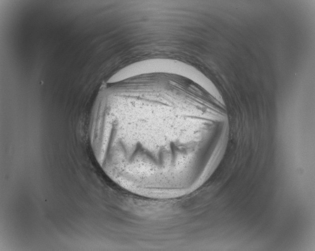 X0000068850044200606021746
