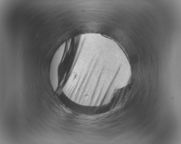 X0000068850045200606021746