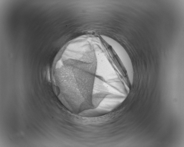 X0000068850046200606021746
