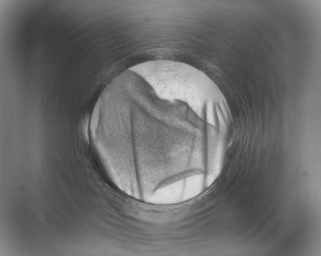 X0000068850047200606021746