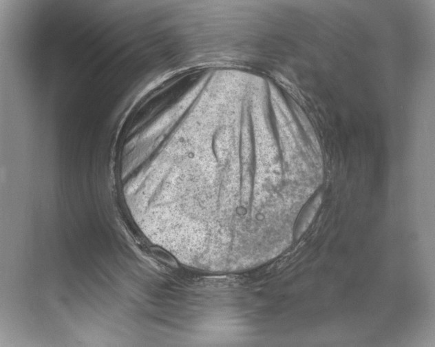 X0000068850050200606021745