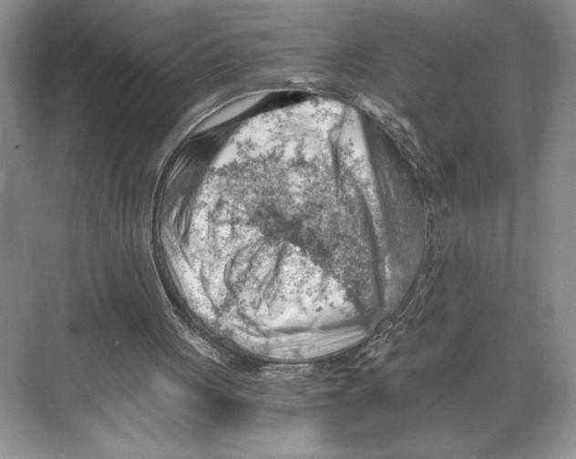 X0000068850051200606021745