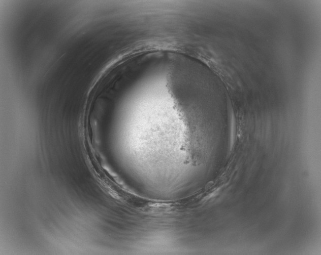 X0000068850052200606021745