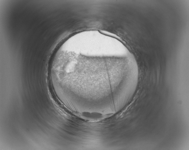 X0000068850054200606021745