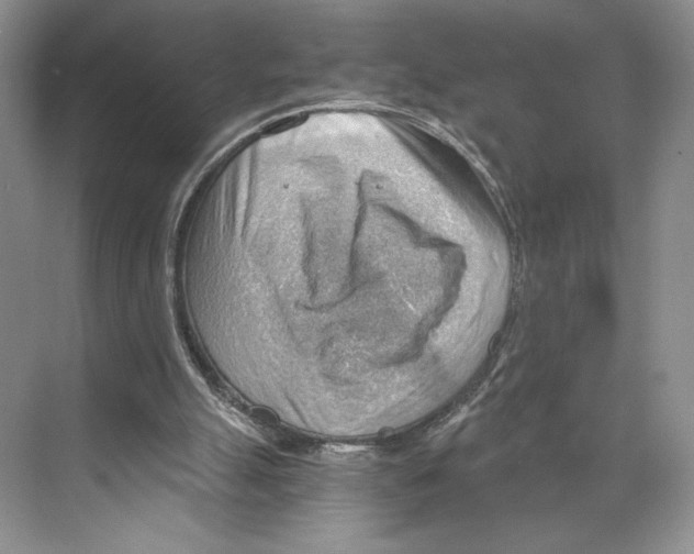 X0000068850055200606021745