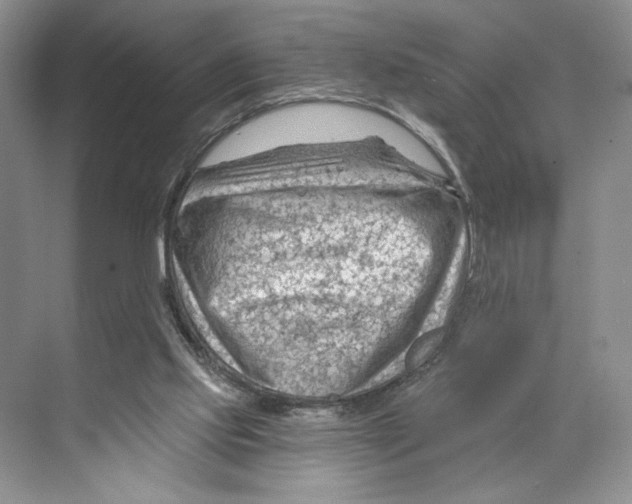 X0000068850061200606021745